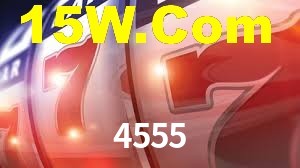Premium Interface 4555